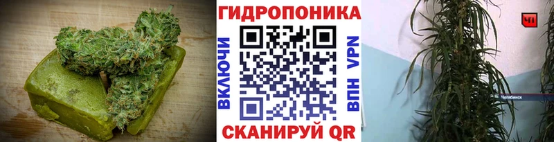 как найти   Горнозаводск  Печенье с ТГК марихуана 