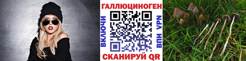 Псилоцибиновые грибы ЛСД купить закладку площадка клад Горнозаводск
